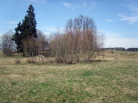 Foto 289